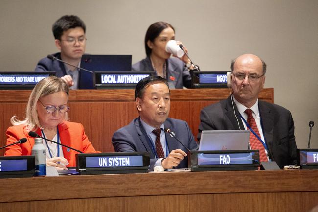 FAO - UNFF18 - 8May2023.jpg
