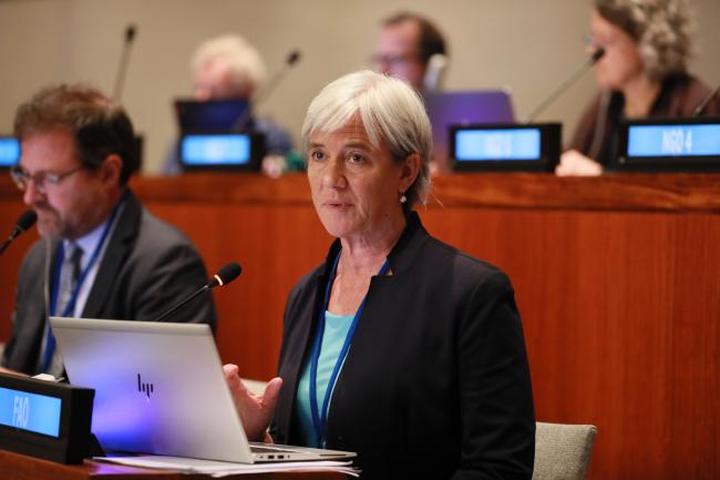 Vera Agostini, UN Food and Agriculture Organization
