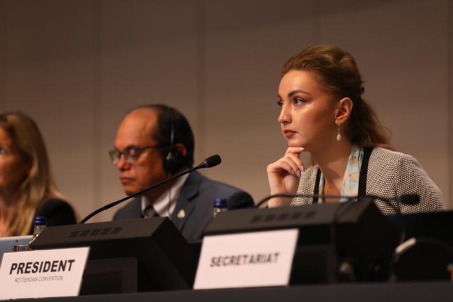 Ana Berejiani, Rotterdam Convention President