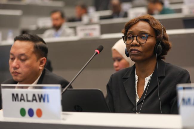 Caroline Theka, Malawi, on behalf of the African Region