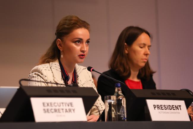 Ana Berejiani, Rotterdam Convention President