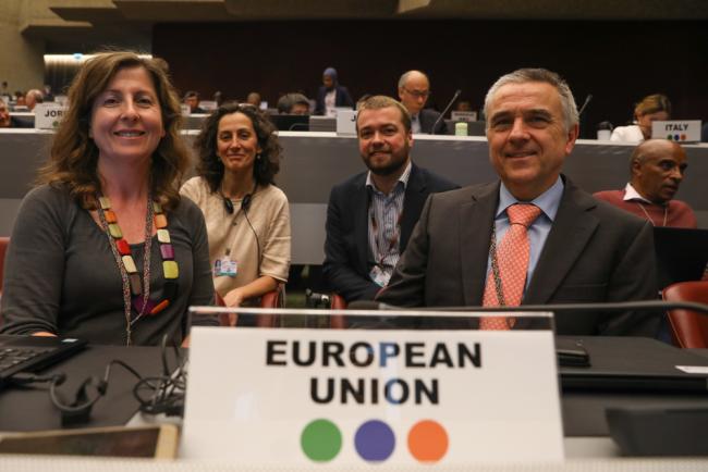 Delegates from the EU