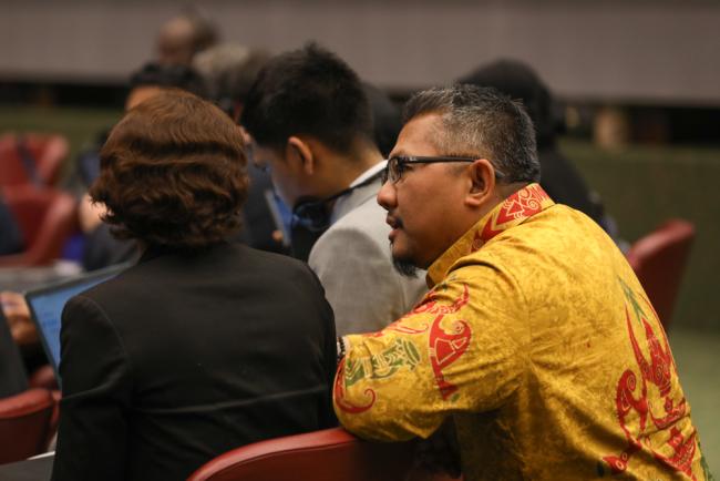 Delegates from Malawi and Indonesia consult