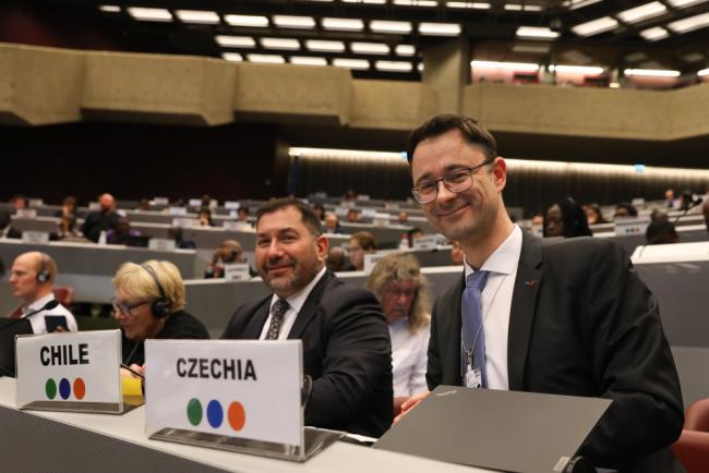 Osvaldo Álvarez-Pérez and Přemysl Štěpánek, Co-Chairs, Budget Contact Group