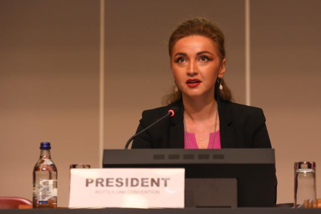 Ana Berejiani, Rotterdam Convention President