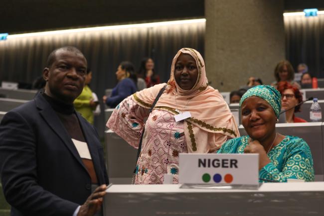 Delegates from Niger