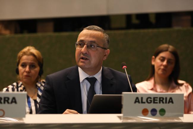 Karim Ouamane, Algeria, on behalf of the African Region