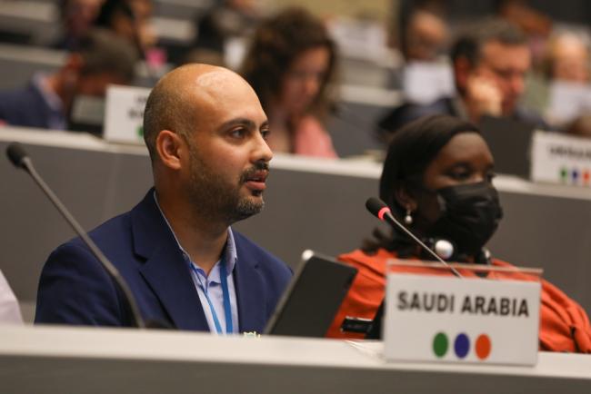 Nawaf Albulisi, Saudi Arabia, on behalf of the Arab Region