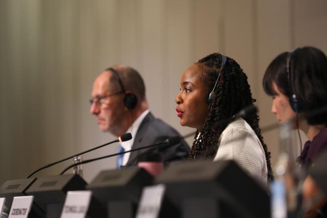 Keima Gardiner, Stockholm Convention President