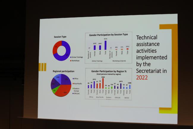 A slide highlights the technical assistance activities implemented by the BRS Secretariat