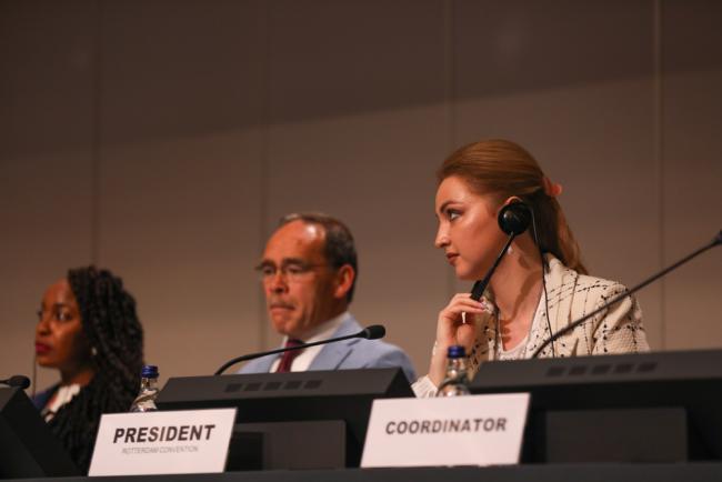 Ana Berejiani, Rotterdam Convention President