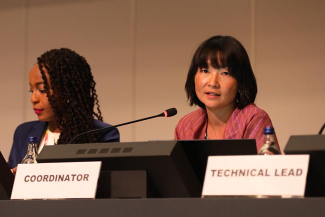 Kei Ohno Woodall, BRS Conventions Secretariat