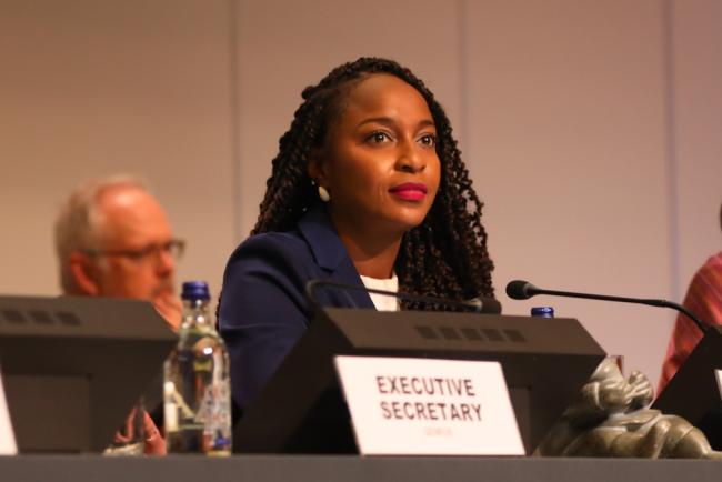 Keima Gardiner, Stockholm Convention President