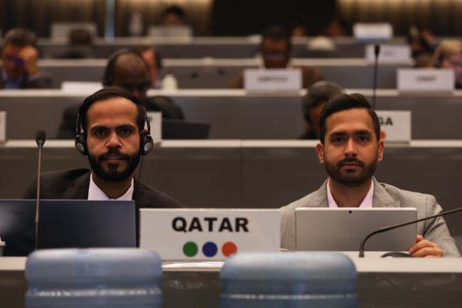 The delegation from Qatar