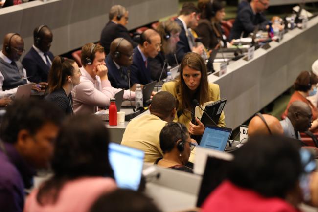 Delegates consult informally during plenary
