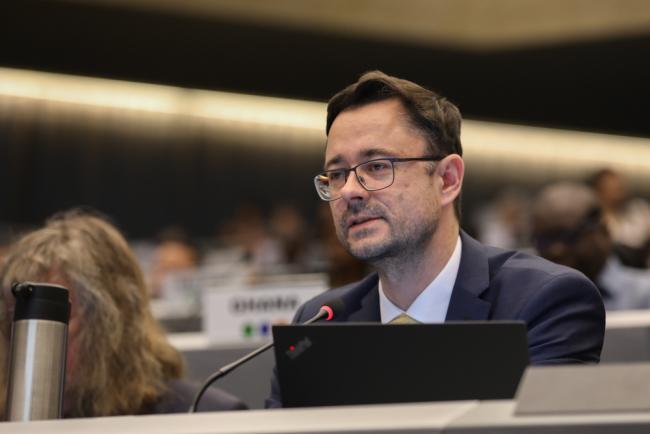Přemysl Štěpánek, Co-Chair, BRS Programme of Work and Budget