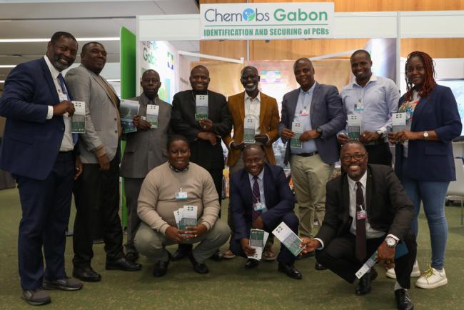 Representatives from seven African countries involved in identifying and securing PCBs 