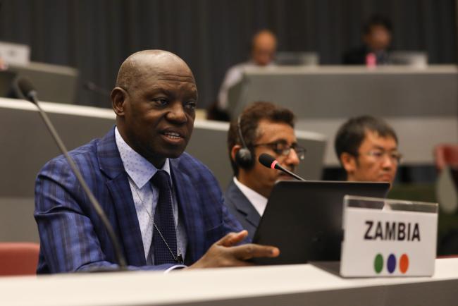 David Kapindula, Co-Chair, BRS Technical Assistance and Financial Resources