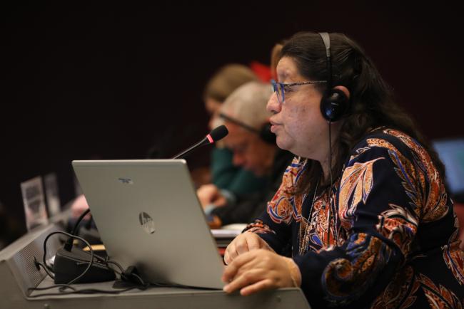 Hildaura Acosta de Patiño, Basel Convention Regional Centre for the Central America and Mexico subregion, Panama (BCRC-Panama)