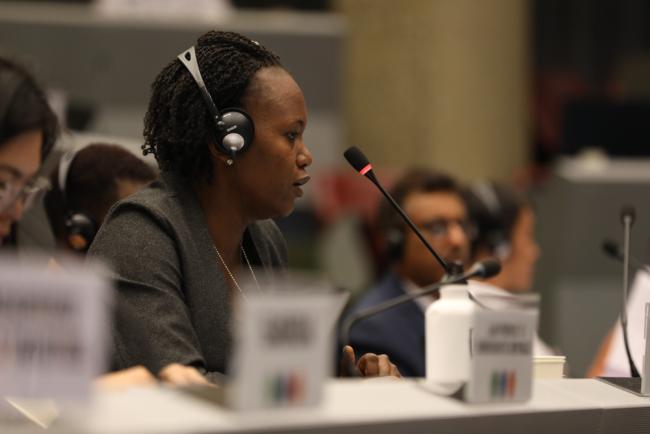 Pauline Nyaradzo Nhunzvi, Zimbabwe