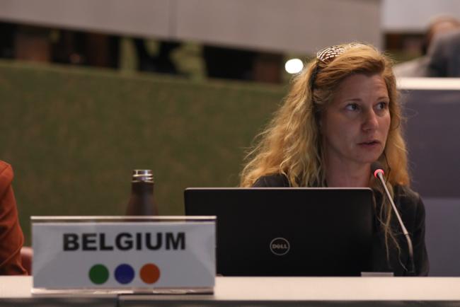 Ann De Jonghe, Co-Chair, Strategic Matters
