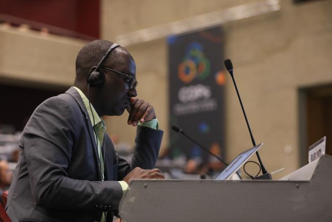 Delegate during the session
