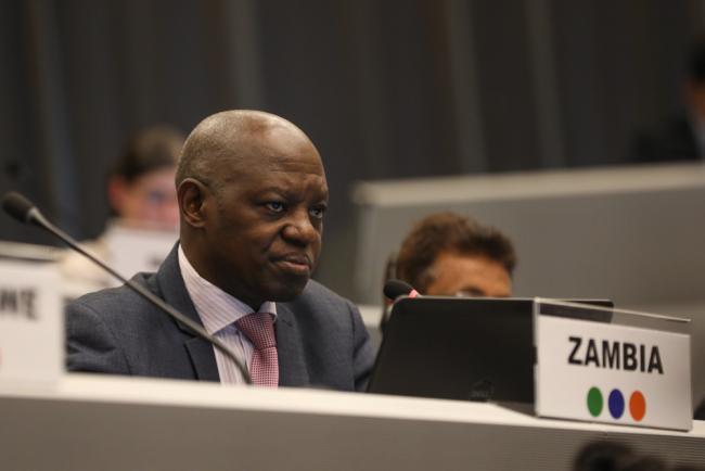David Kapindula, Co-Chair, BRS Technical Assistance and Financial Resources Contact Group
