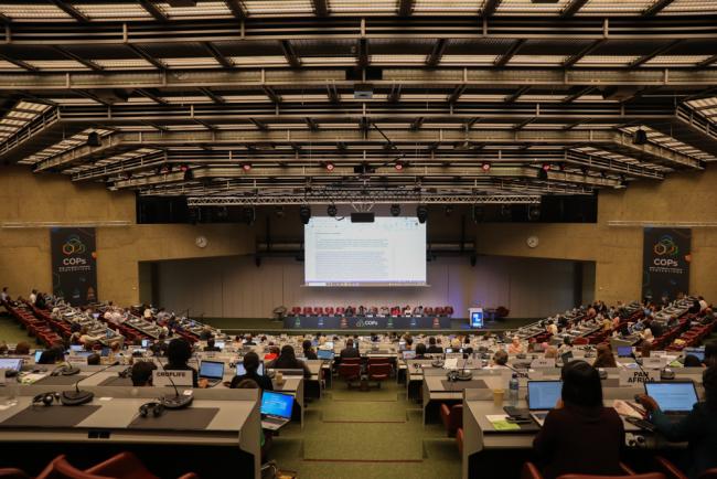 Basel Convention Technical Contact Group