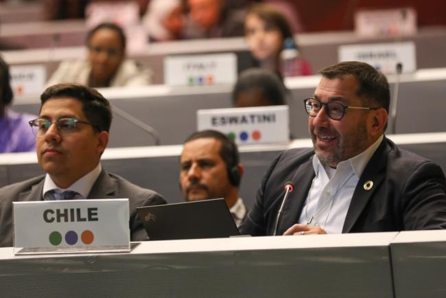Osvaldo Álvarez-Pérez, Co-Chair, Contact Group on the Programme of Work and Budget