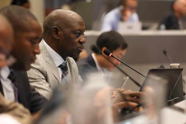 David Kapindula, Co-Chair, BRS Technical Assistance and Financial Resources