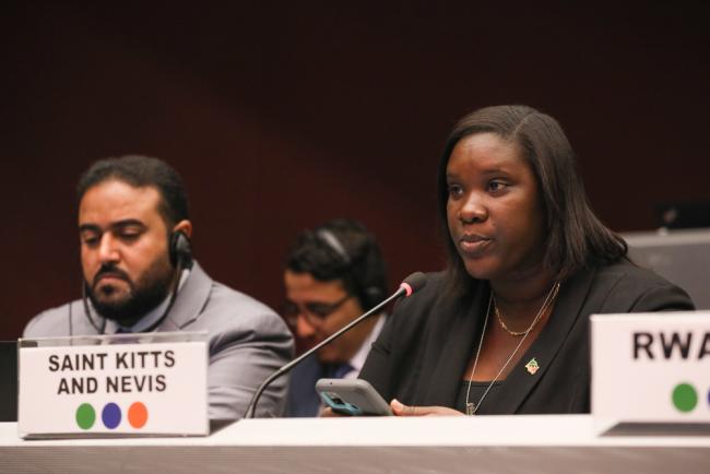 Jeannelle Kelly, Co-Chair, Joint Issues Contact Group