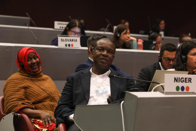 Delegates from the Niger