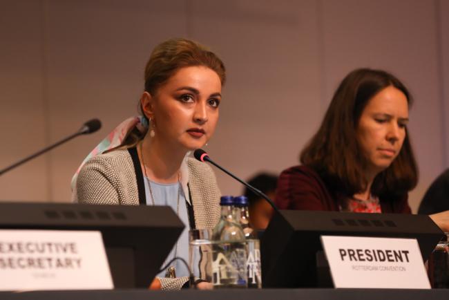Ana Berejiani, Rotterdam Convention President