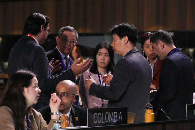 Delegates from Brazil and China consult