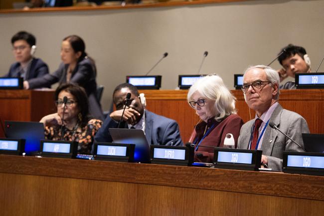 Participants during plenary