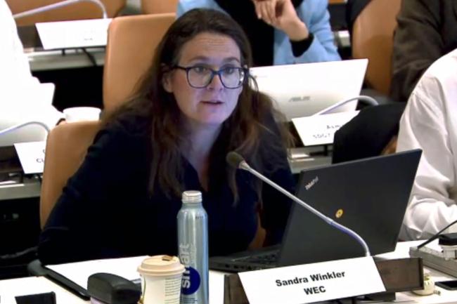 Sandra Winkler, World Energy Council (WEC)