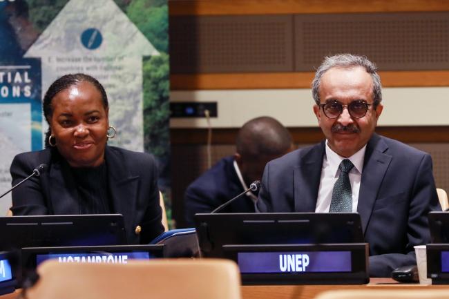 Ivete Maibaze, Minister of Land and Environment, Mozambique, and Jamil Ahmad, Director, UN Environment Programme New York Office