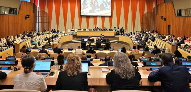 View of the ECOSOC Chamber