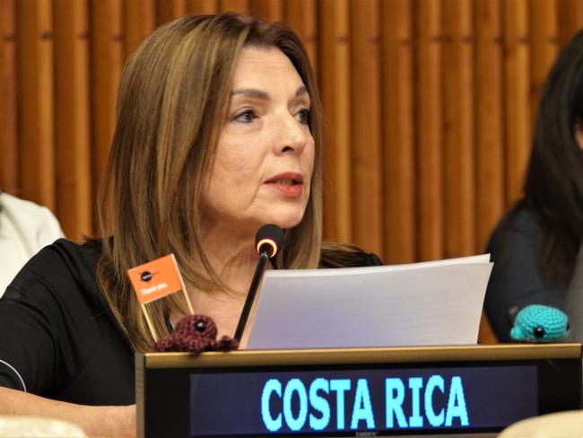 Georgina Guillén Grillo, Director General of Foreign Policy at the Ministry of Foreign Affairs, Costa Rica 