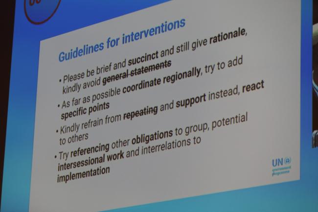Guidance is provided for delegates to help progress the negotiations