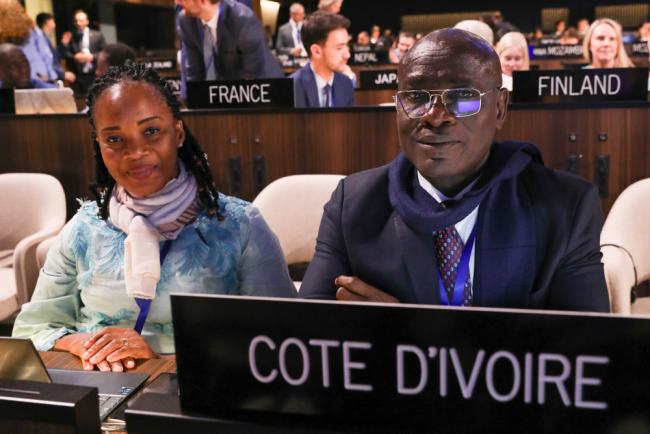 Delegates from Côte d'Ivoire