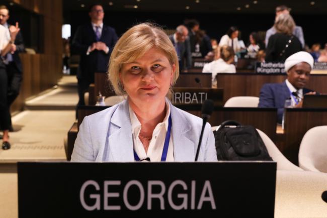 Delegate from Georgia