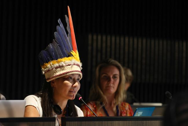 Lena Estrada, Indigenous Peoples Major Group