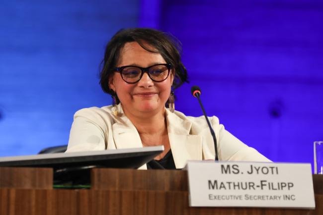 Jyoti Mathur-Filipp, Executive Secretary, INC Secretariat