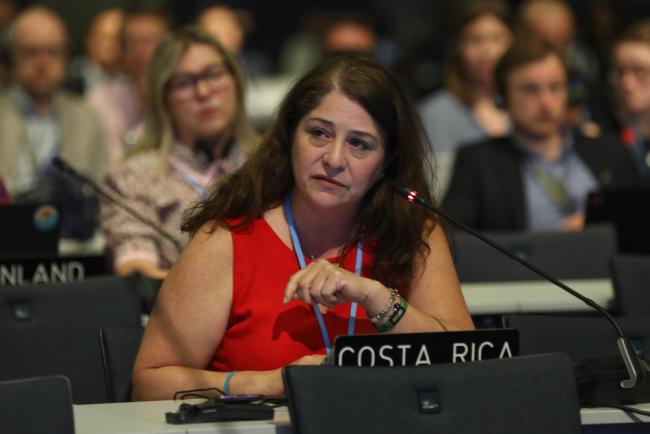 Ana Patricia Villalobos Arrieta, Costa Rica, on behalf of Association of Latin America and the Caribbean (AILAC)