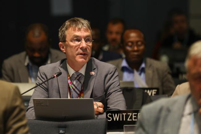 Franz Perrez, Switzerland, on behalf of the Environmental Integrity Group (EIG)