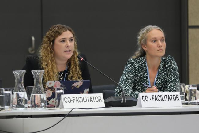 Co-Facilitators María del Pilar Bueno, Argentina, and Maria Samuelsen, Denmark