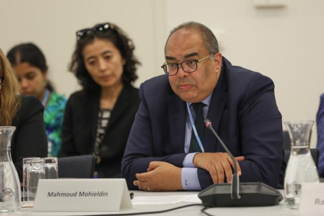 Mahmoud Mohieldin, COP 27 High Level Climate Champion