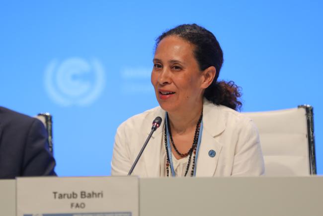 Tarub Bahri, Food and Agriculture Organization of the UN (FAO)