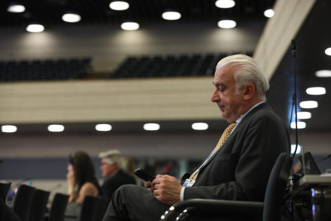Daniele Violetti, Senior Director, UNFCCC